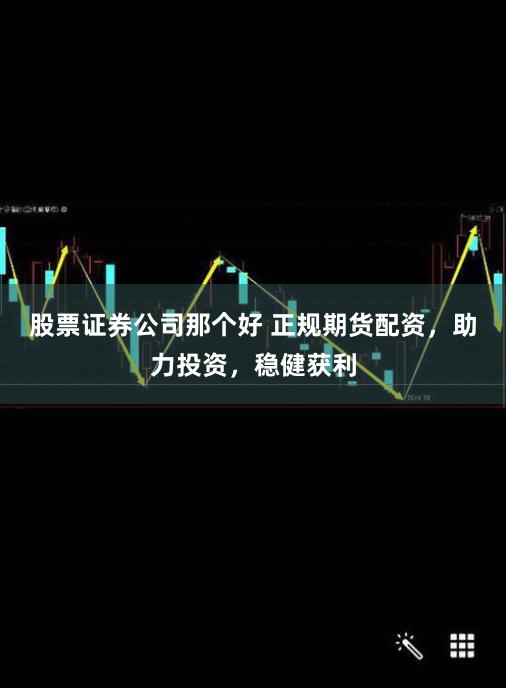 股票证券公司那个好 正规期货配资，助力投资，稳健获利